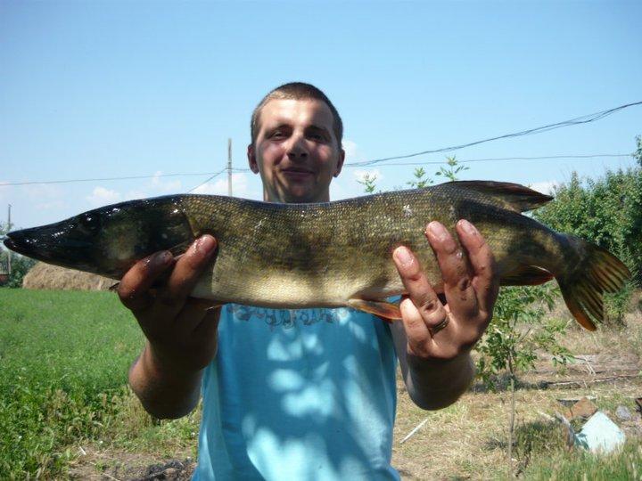 2013 - 2640441445855289519882863520n.jpg